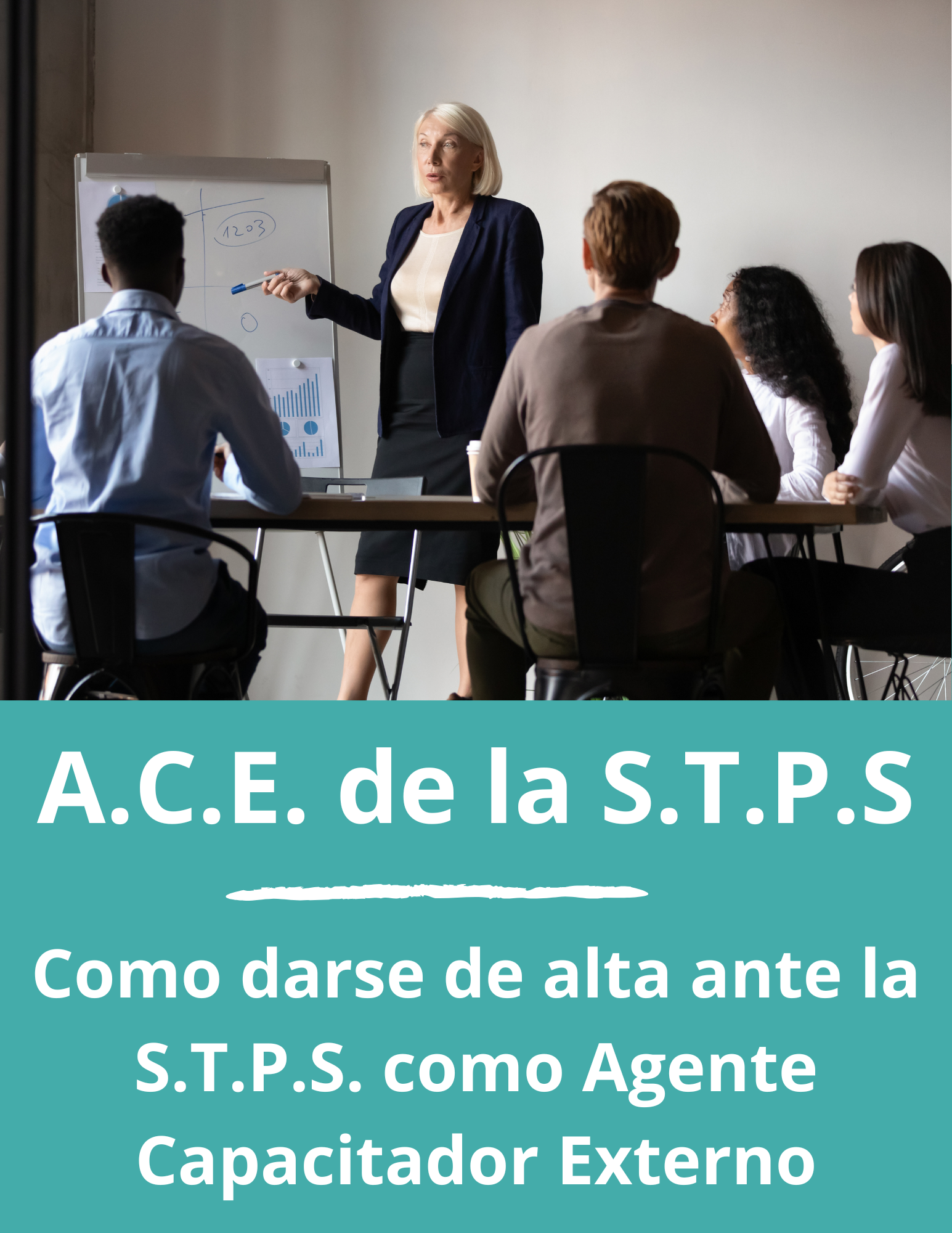 Como darse de alta como ACE en la STPS
